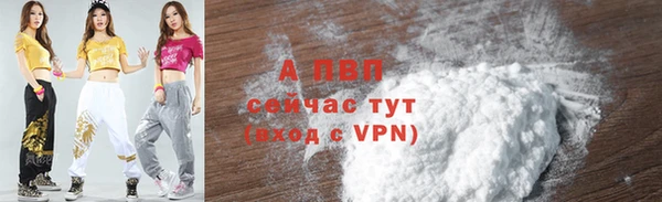 ECSTASY Лагань