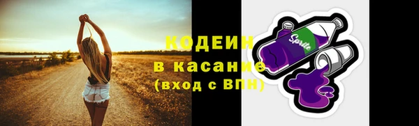 ГАЛЛЮЦИНОГЕННЫЕ ГРИБЫ Алзамай