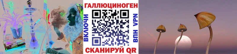 Псилоцибиновые грибы GOLDEN TEACHER  OMG ONION  Волгодонск 