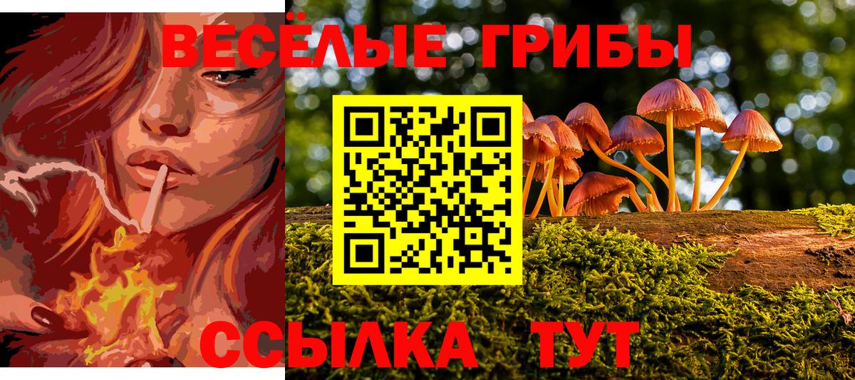 Волгодонск  Галлюциногенные грибы GOLDEN TEACHER  Вход с VPN 