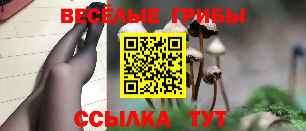 Галлюциногенные грибы Psilocybine cubensis Волгодонск